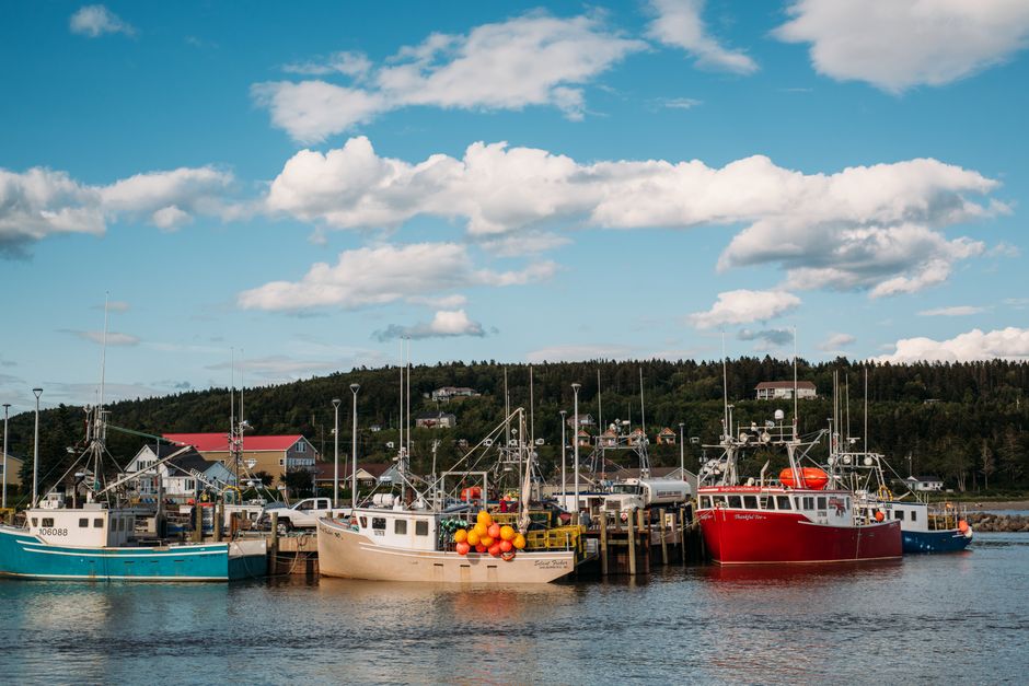 Colorful fishing boats in a harbour in New Brunswick, Canada