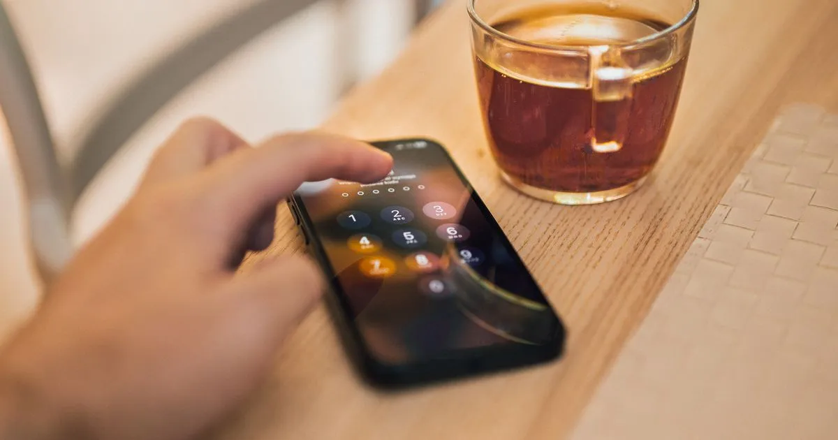Secure phone login screen used for instant bank verification