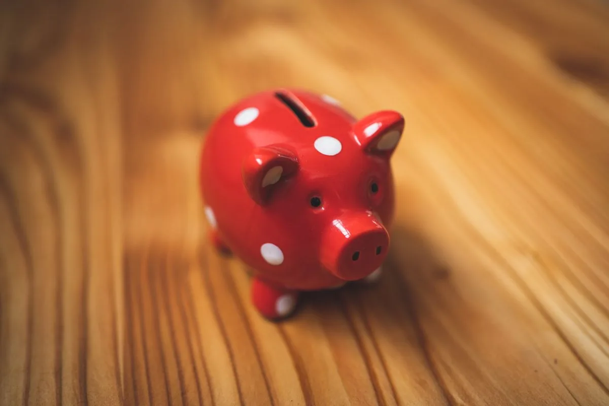 Red piggy bank on a wooden table symbolizing an emergency fund for future vet bills