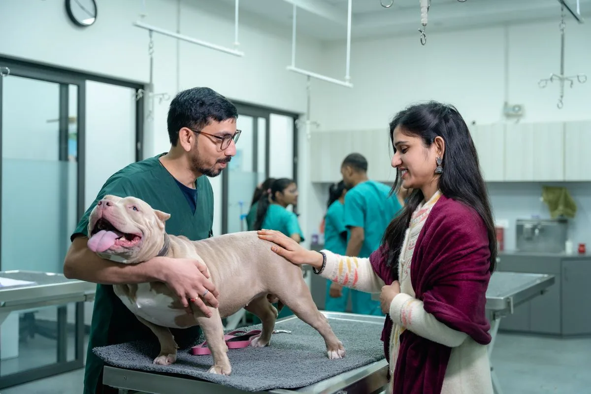 Vet discussing a treatment estimate with a dog owner at a modern clinic